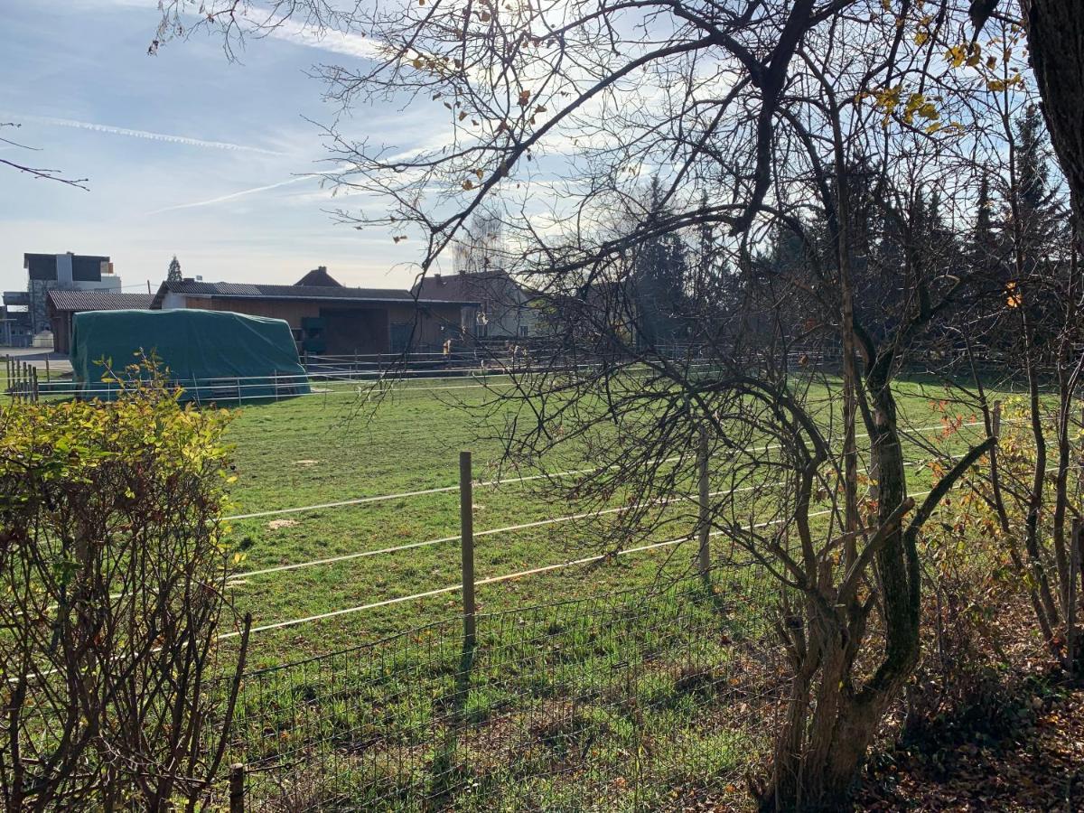 Ned Haus Villa Feldkirchen bei Graz Eksteriør billede